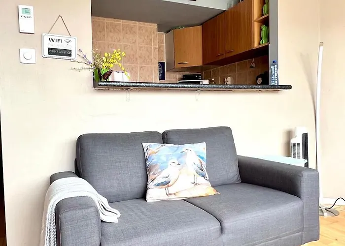 公寓 Seaside Cosy Retreat For Two 奥斯滕德